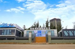 可以或许及时整合、阐发来自分歧监测对象的数