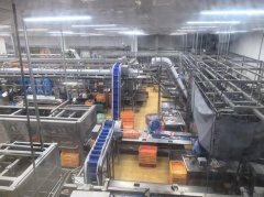 出口9.05万辆、增加109.98%